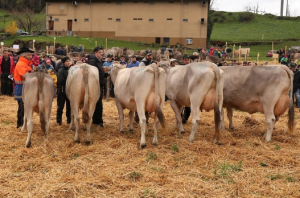 Reto Styger Biasca 79